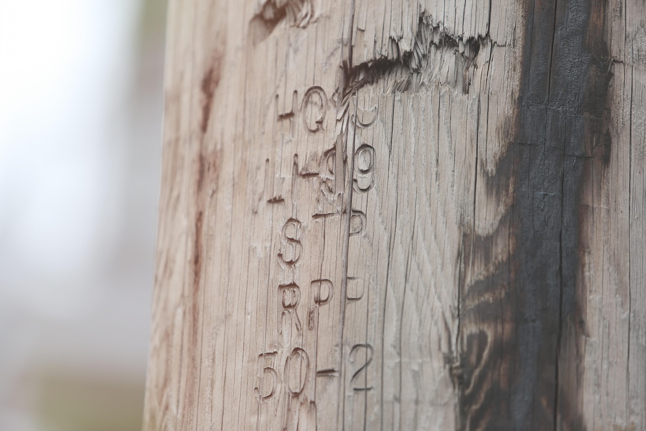 Holz_01